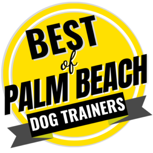 Best of Palm Beach
