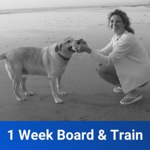 1 Week Board Train
